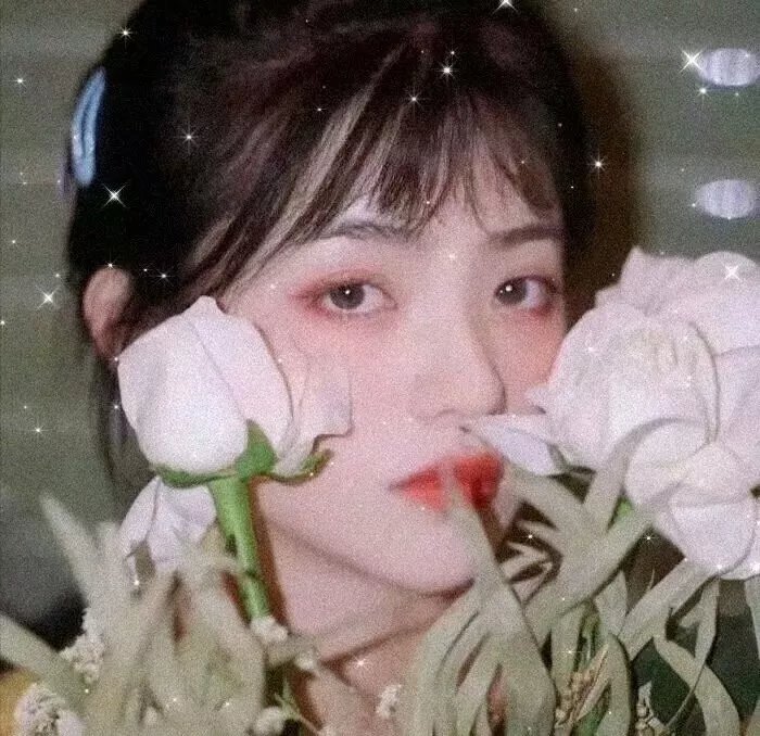 狂花梦路